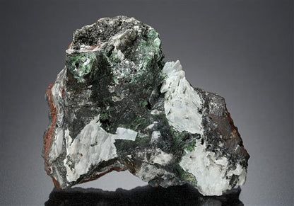 CC18147 specimen image