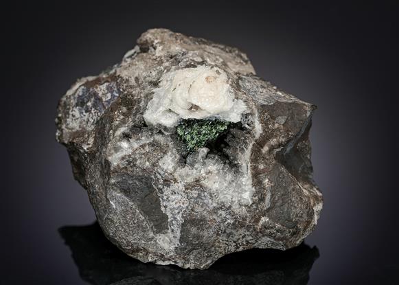 CC18151 specimen image