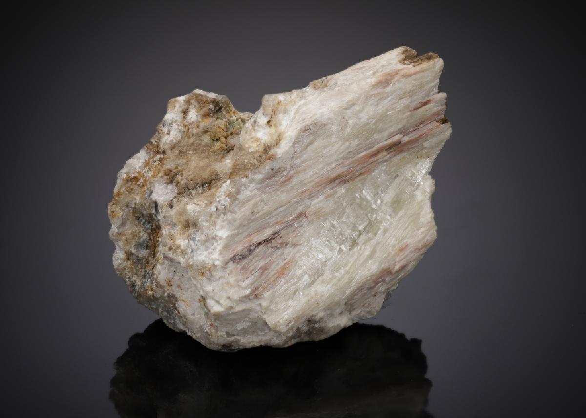 CC18155 specimen image