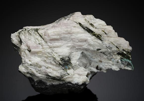 CC18156 specimen image