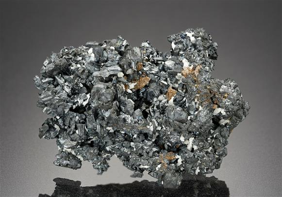 CC18168 specimen image