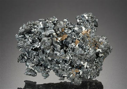 CC18168 specimen image