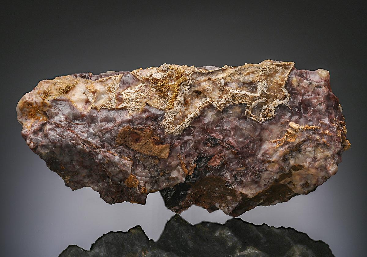 CC18197 specimen image