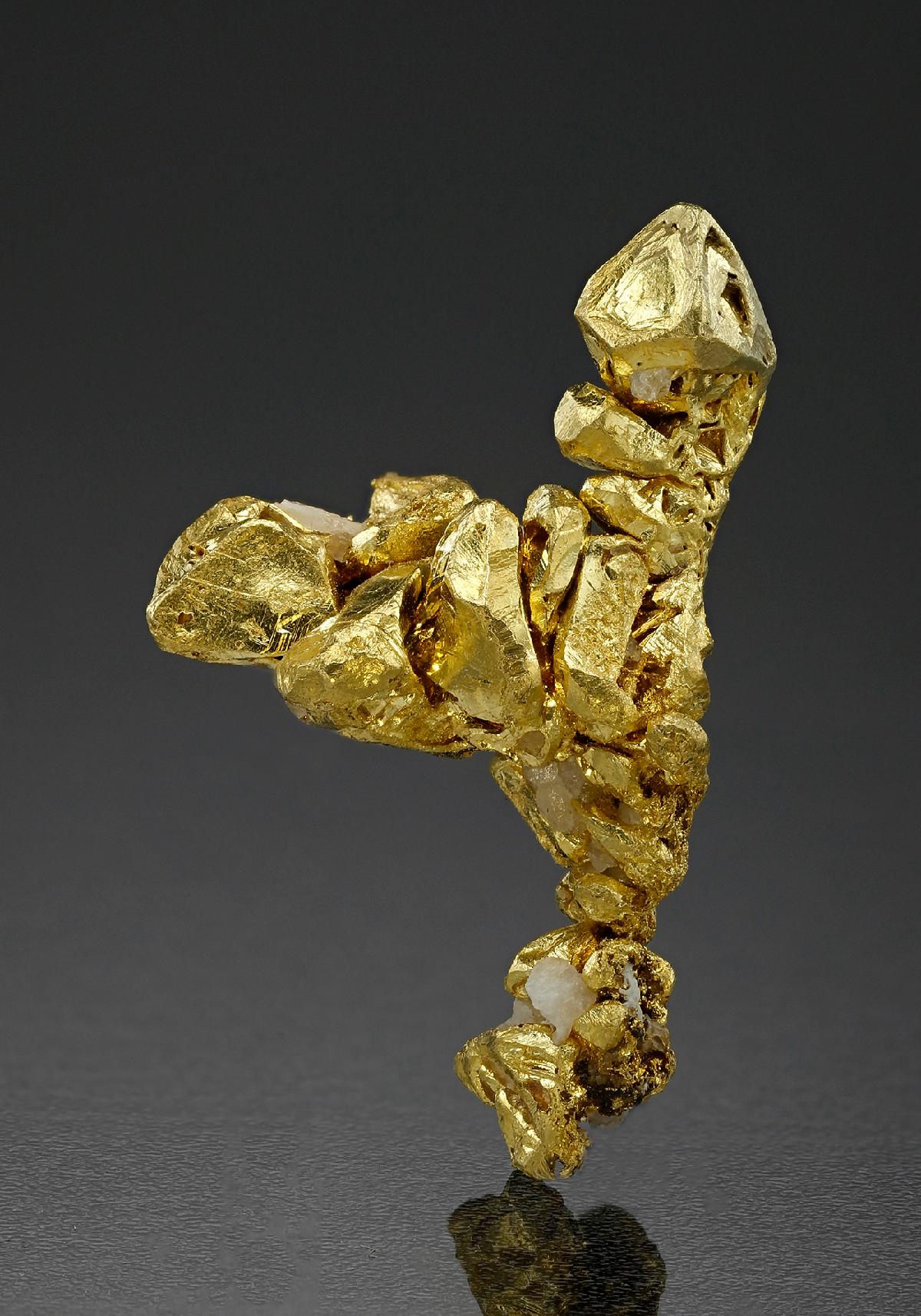 CC18211 specimen image