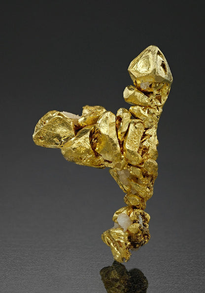 CC18211 specimen image