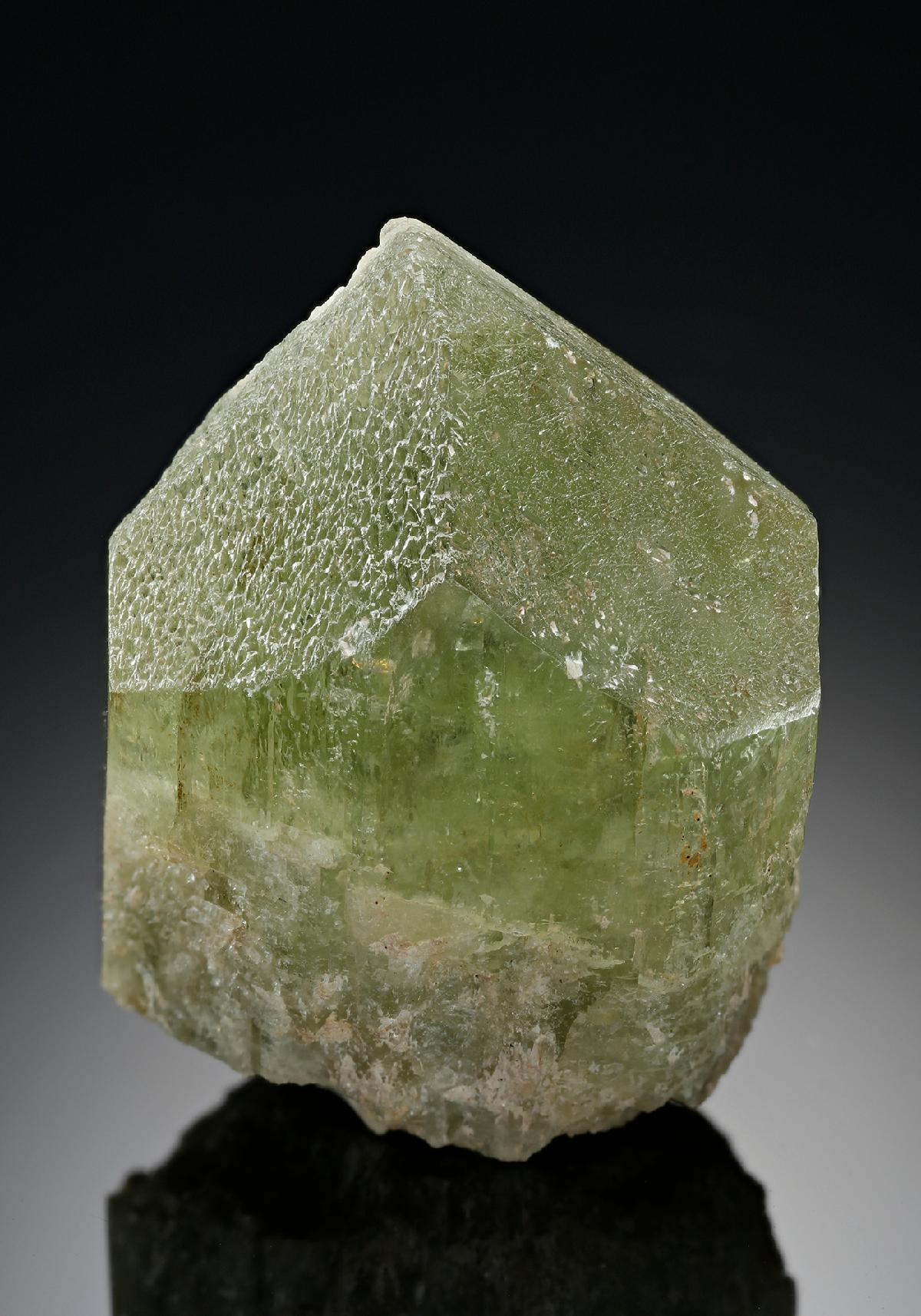 CC18213 specimen image