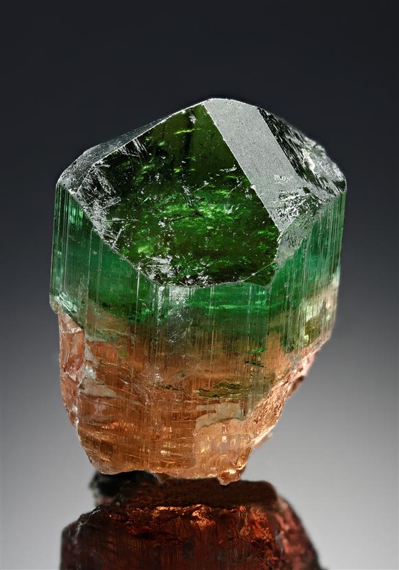 CC18214 specimen image