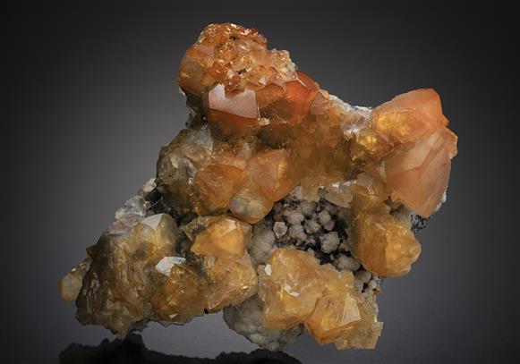 CC18257 specimen image