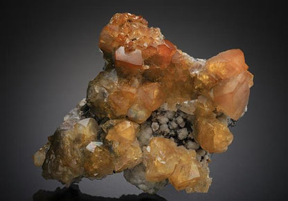 CC18257 specimen image