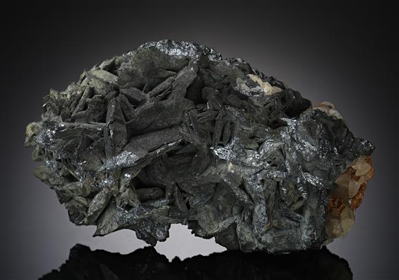 CC18269 specimen image