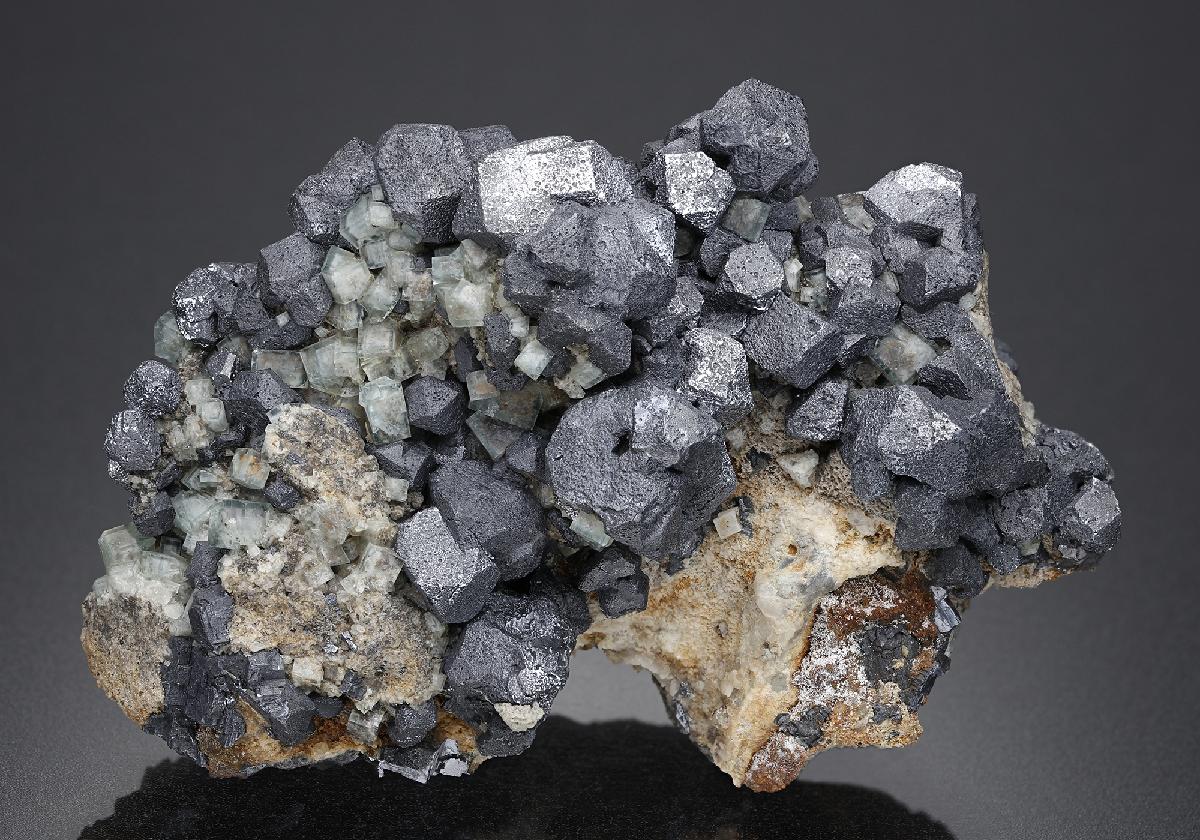 CC18288 specimen image