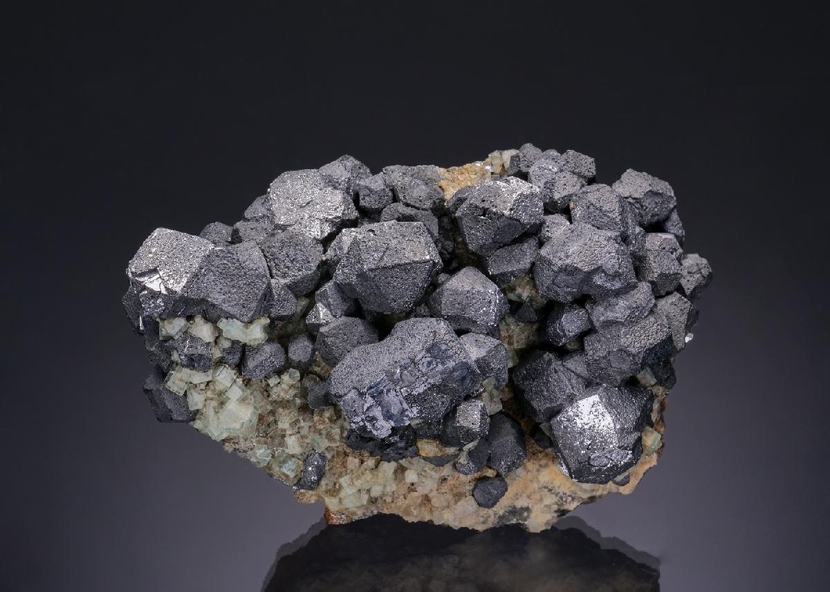CC18289 specimen image
