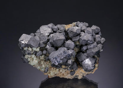 CC18289 specimen image