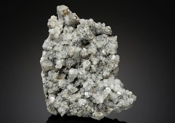 CC18296 specimen image
