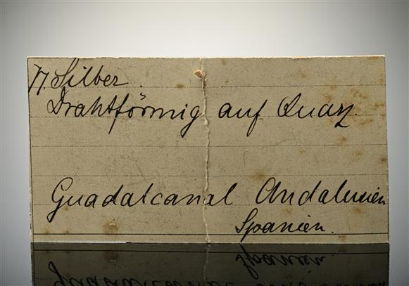 CC18299 specimen image
