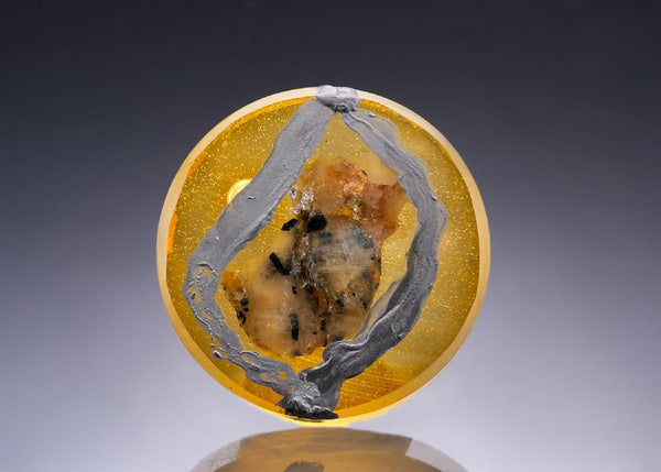 CC18308 specimen image