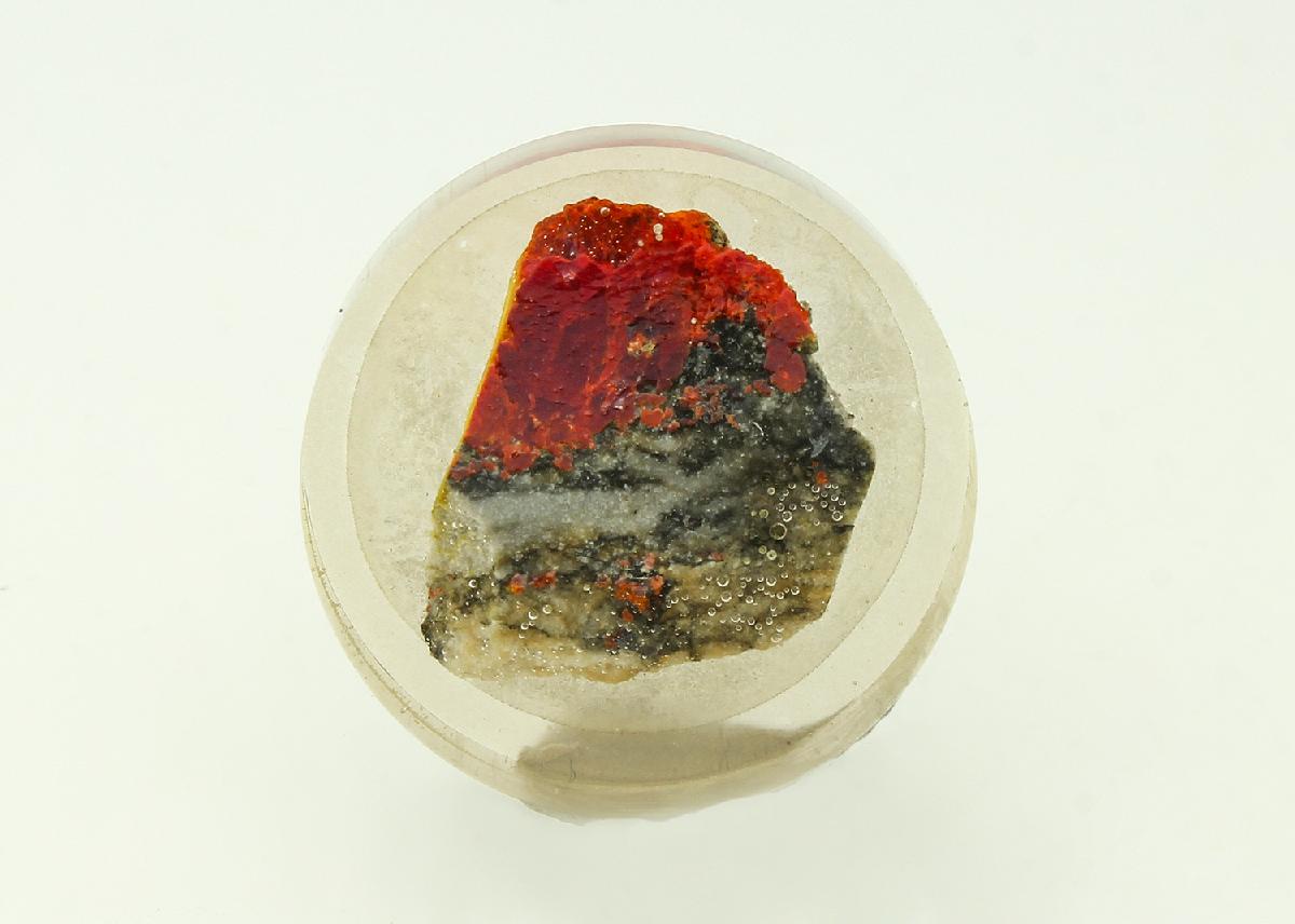 CC18311 specimen image