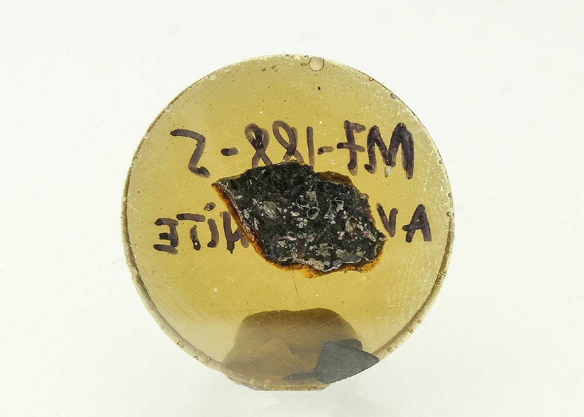 CC18313 specimen image
