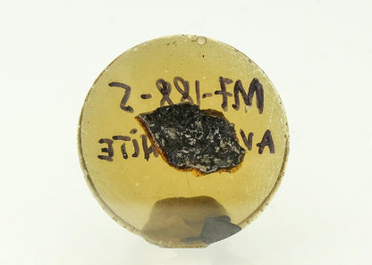 CC18313 specimen image
