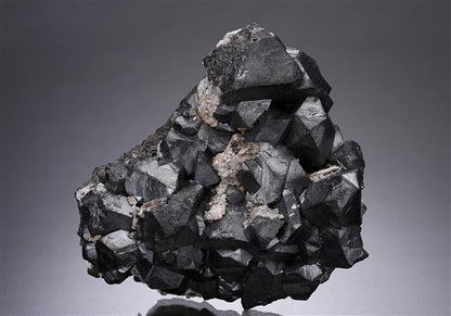 CC18383 specimen image