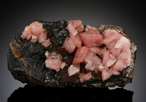 CC18397 specimen image