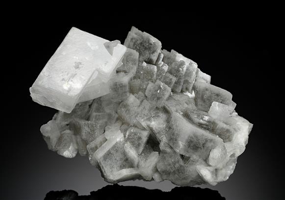CC18407 specimen image