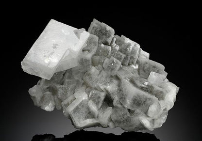 CC18407 specimen image
