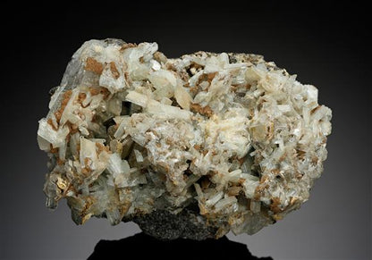 CC18482 specimen image