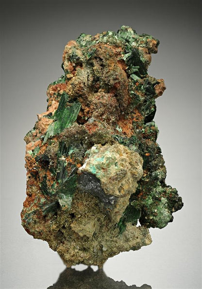 CC18495 specimen image