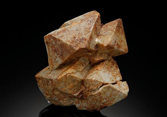 CC18498 specimen image