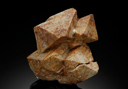 CC18498 specimen image