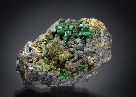 CC18515 specimen image