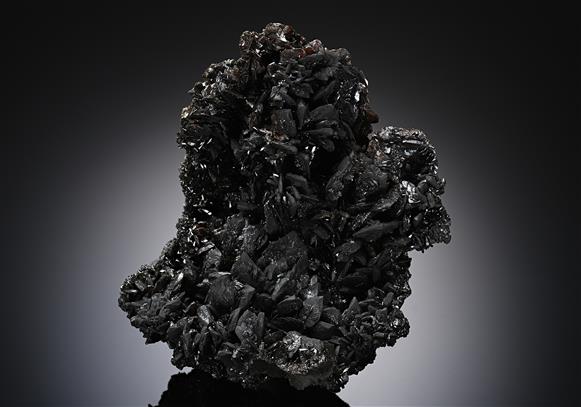 CC18518 specimen image