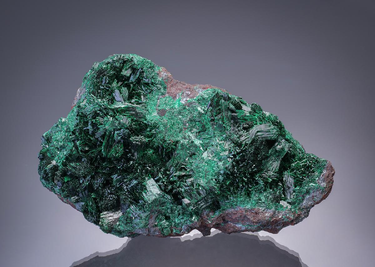 CC18538 specimen image