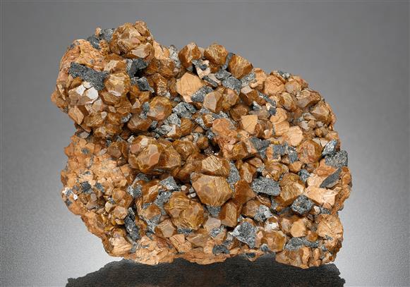 CC18581 specimen image