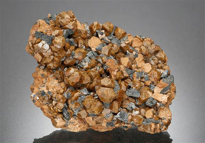 CC18581 specimen image