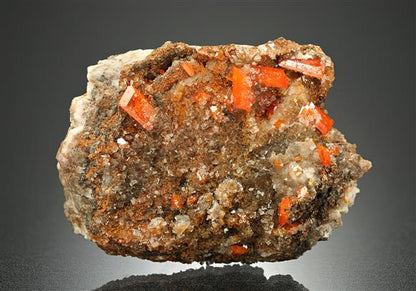 CC18588 specimen image