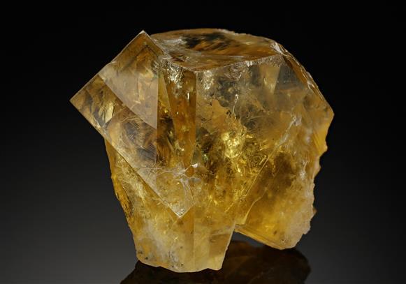 CC18592 specimen image
