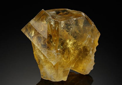 CC18592 specimen image