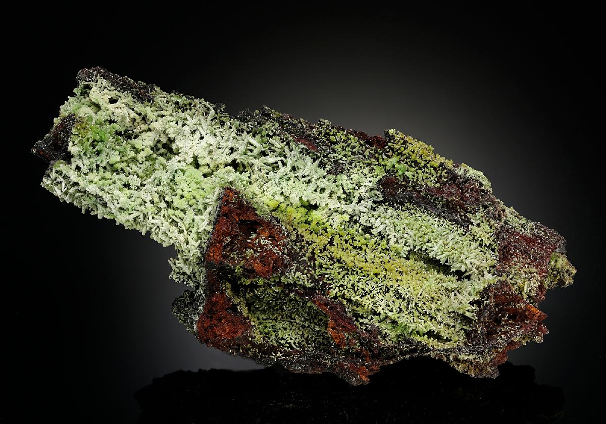 CC18616 specimen image