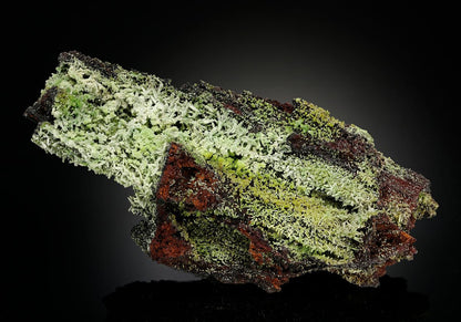 CC18616 specimen image