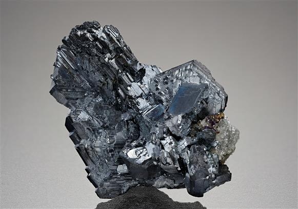 CC18617 specimen image