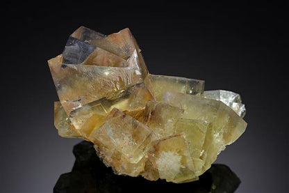 CC18618 specimen image