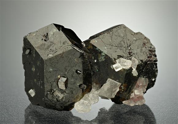 CC18624 specimen image