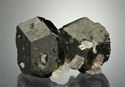 CC18624 specimen image