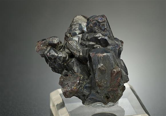 CC18626 specimen image