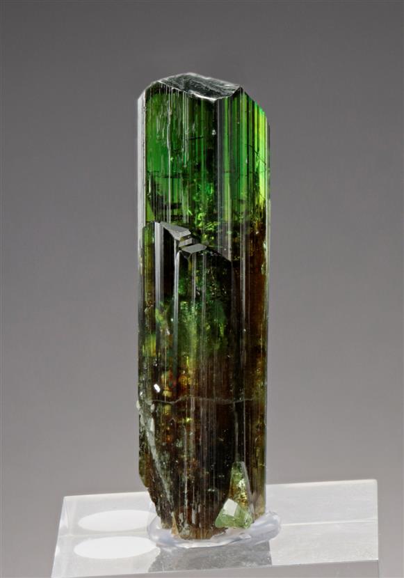 CC18629 specimen image