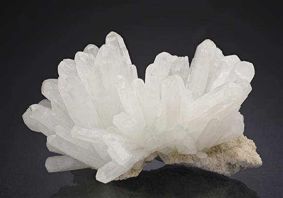 CC18632 specimen image