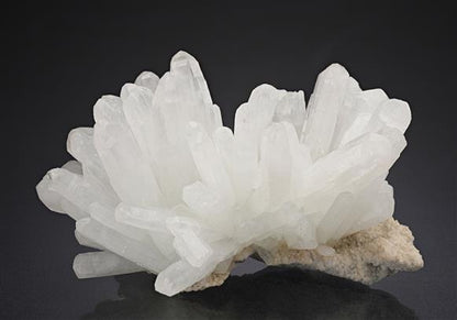 CC18632 specimen image