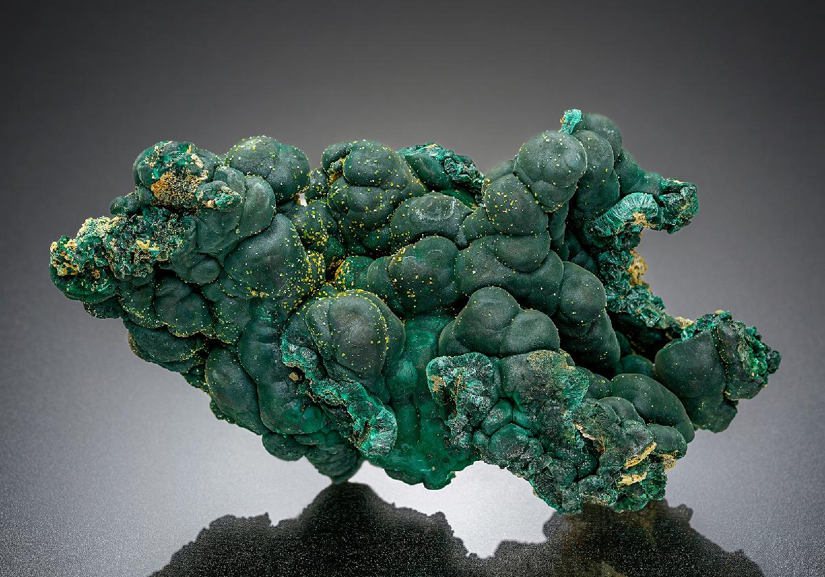 CC18664 specimen image